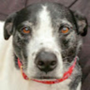 Meet your Posher, Lynn